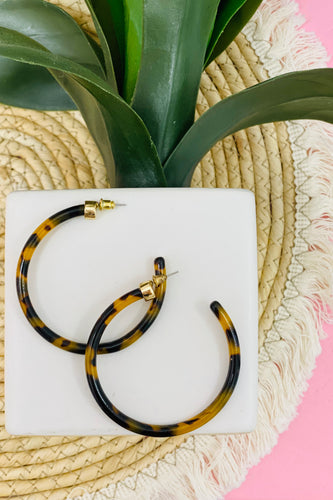 Tortoise Hoops